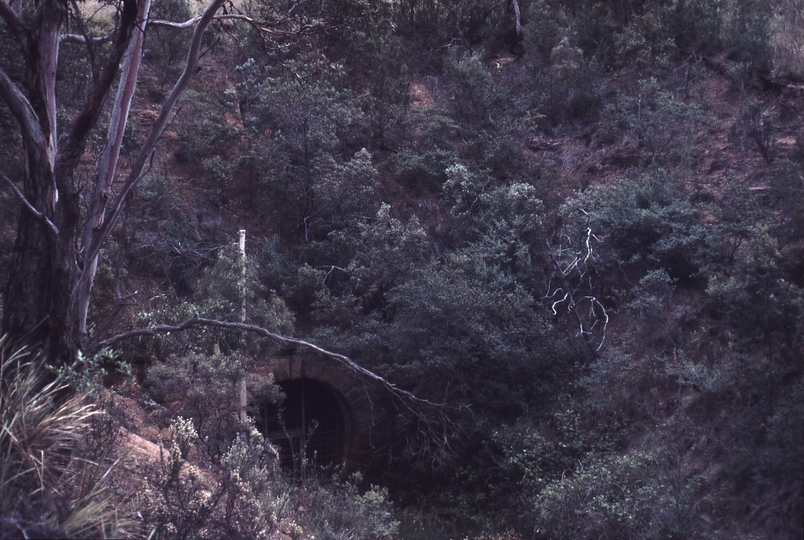 112724: Tunnel Under Cambridge Road South Portal