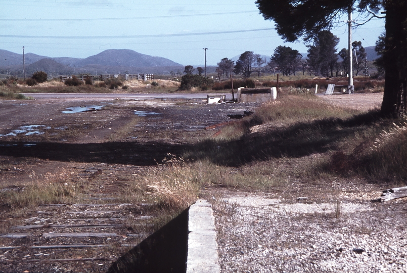 112790: Zeehan Looking South from Passenger Platform