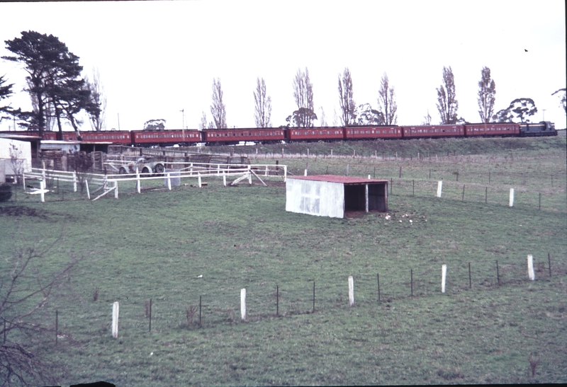 112980: Kyneton T 363 shunting SPCC Vintage Train