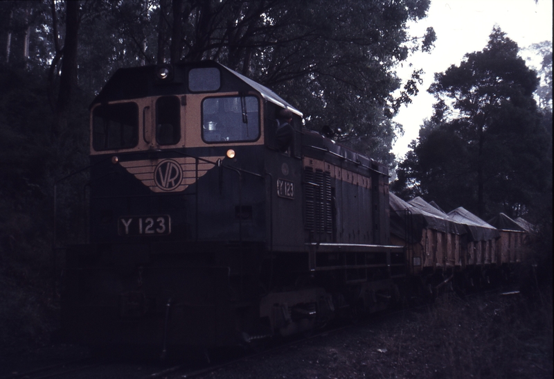 113005: Victorian Agricultural Lime Cos Siding Down Goods Y 123