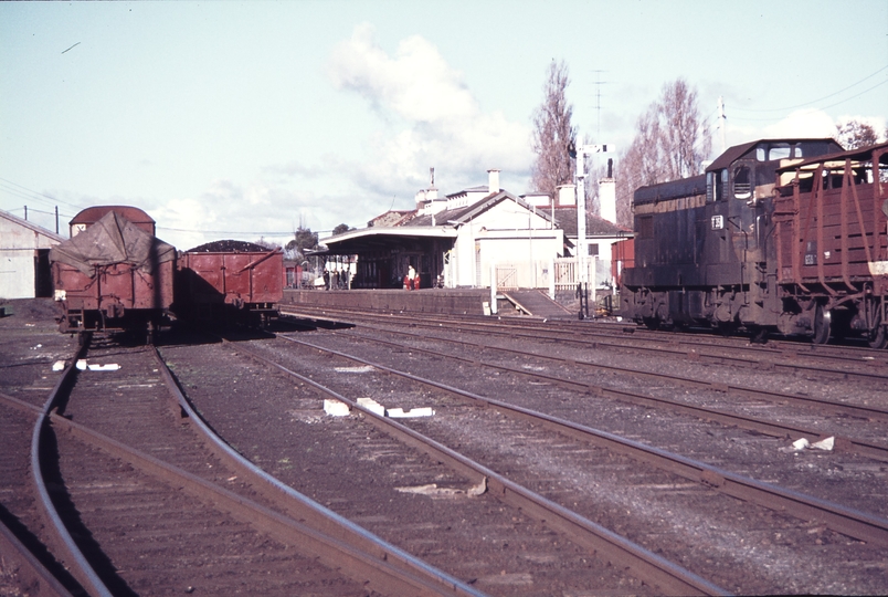 113031: Camperdown Up Goods T 351