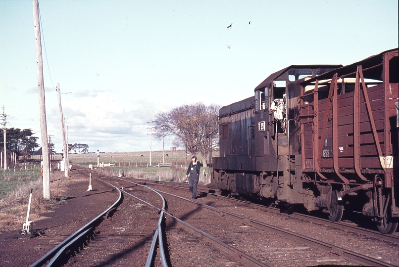 113035: Camperdown Up Goods T 351