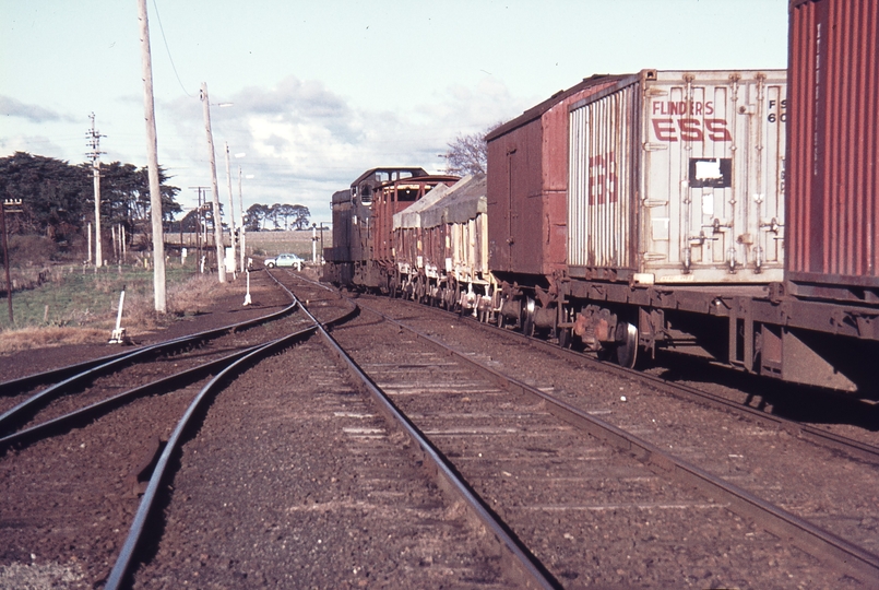 113036: Camperdown Up Goods T 351