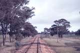 113053: Mile 148 Wedderburn Line Looking towards Wedderburn