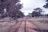 113054: Mile 148 Wedderburn Line Looking towards Wedderburn