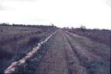 113126: Kerang Down side Koondrook Line Looking towards Koondrook