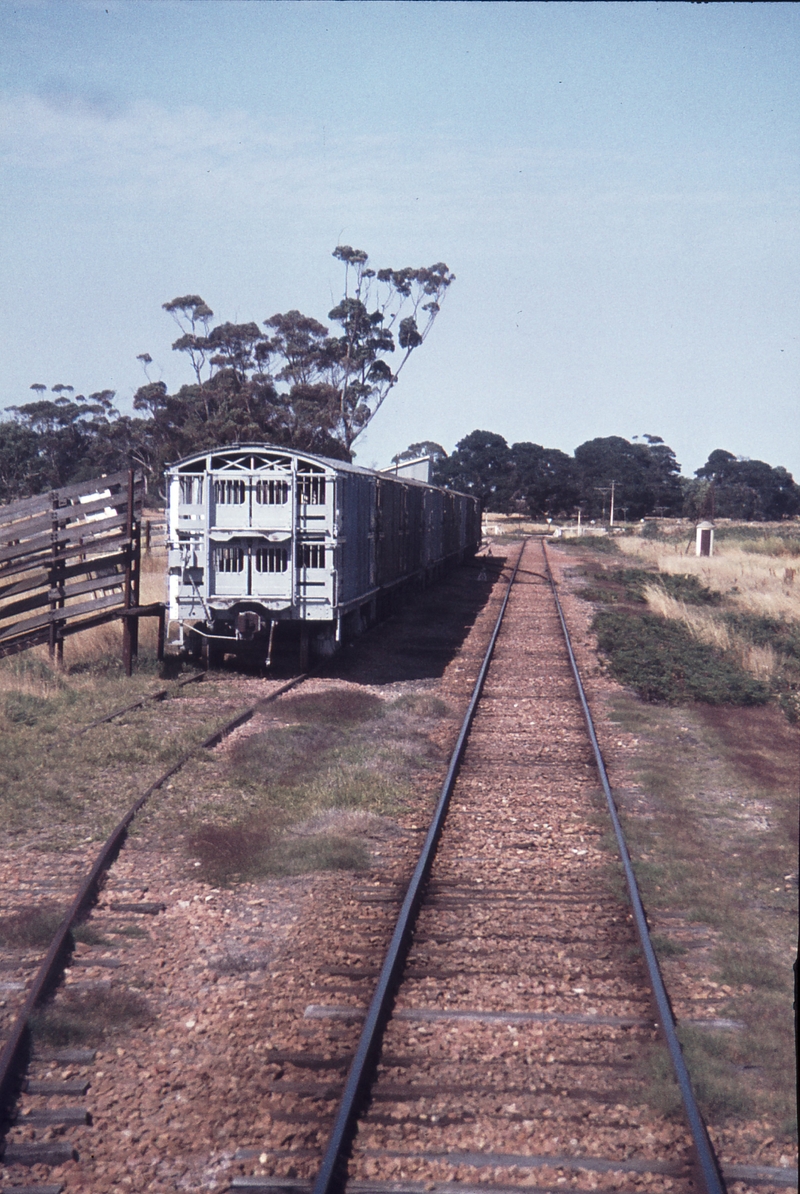 113229: Stewarts Looking towards Kingston