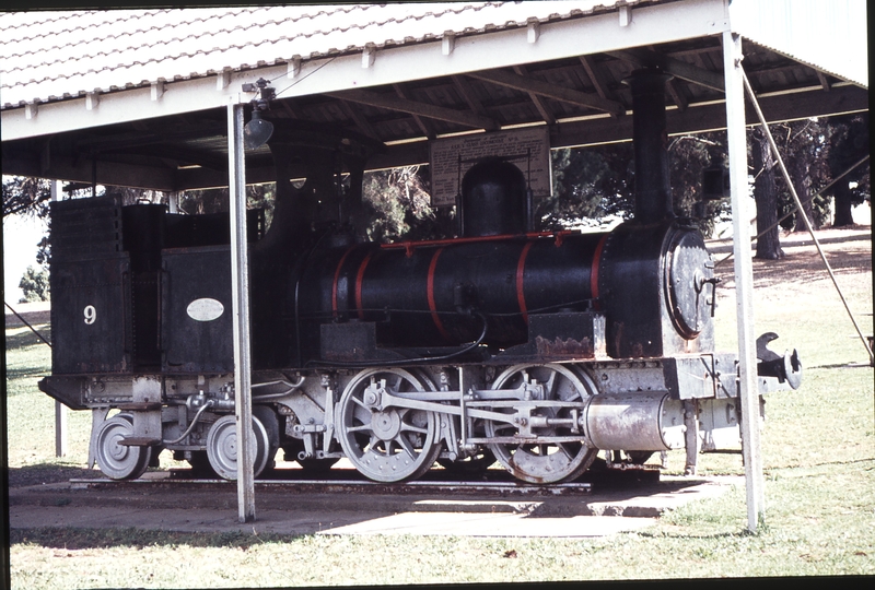 113234: Naracoorte park V 9