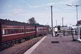 113246: Moree Shunting cars from North Mail 4850