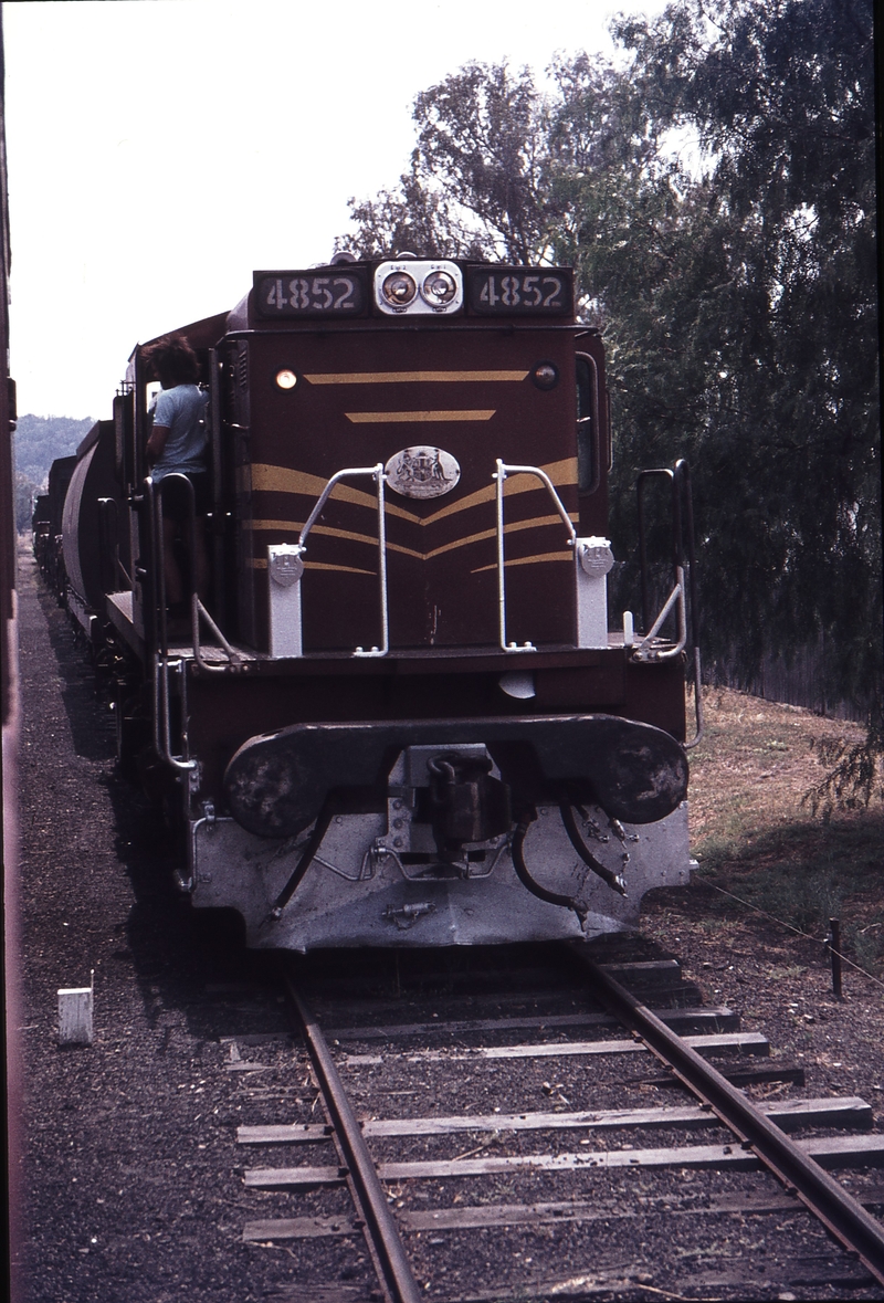 113252: Warialda Up Goods 4852