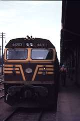 113276: Albury Up Intercapital Daylight 44203 leading