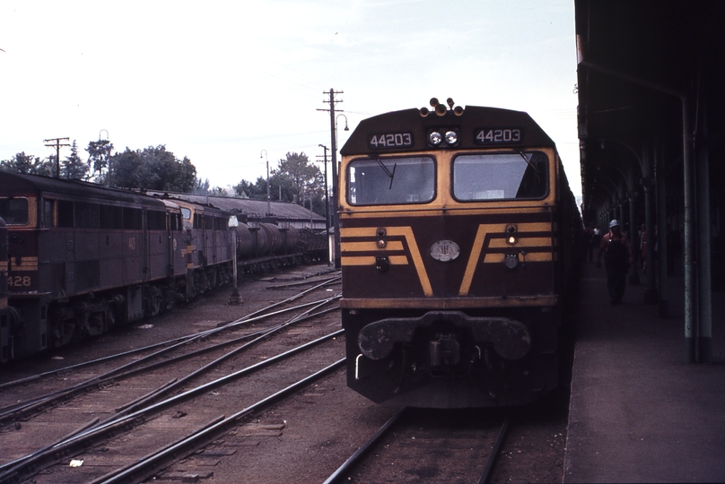 113277: Albury 4448 4428 4439 Up Goods and Up Intercapital Daylight 44203