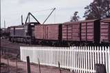 113385: Numurkah Down Goods T 401