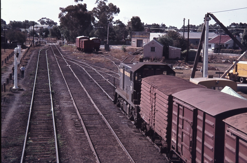 113386: Numurkah Down Goods T 401