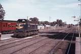 113389: Numurkah T 407