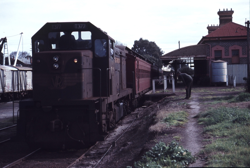 113430: Casterton Up AREA Special T 377