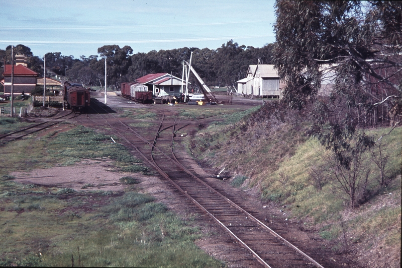 113431: Casterton Looking towards Branxholme