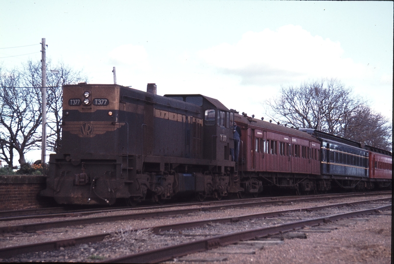 113435: Branxholme Up AREA Special T 377