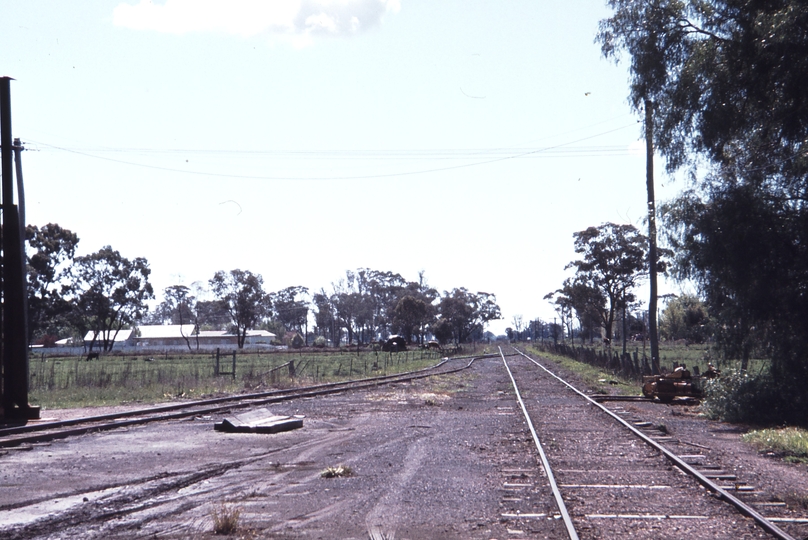 113442: Stanhope Looking towards Girgarre