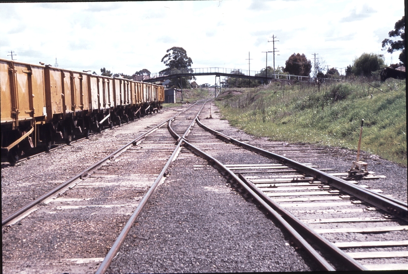 113445: Rushworth Looking West