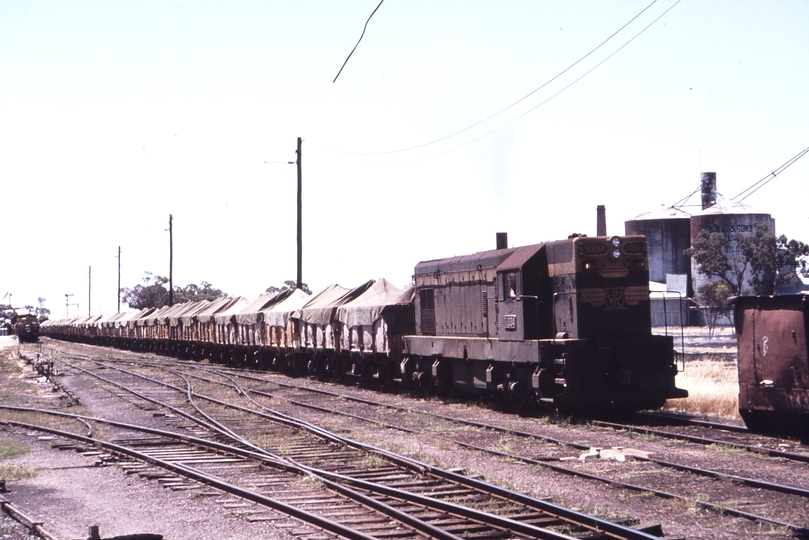 113499: Warracknabeal Up Goods T 334