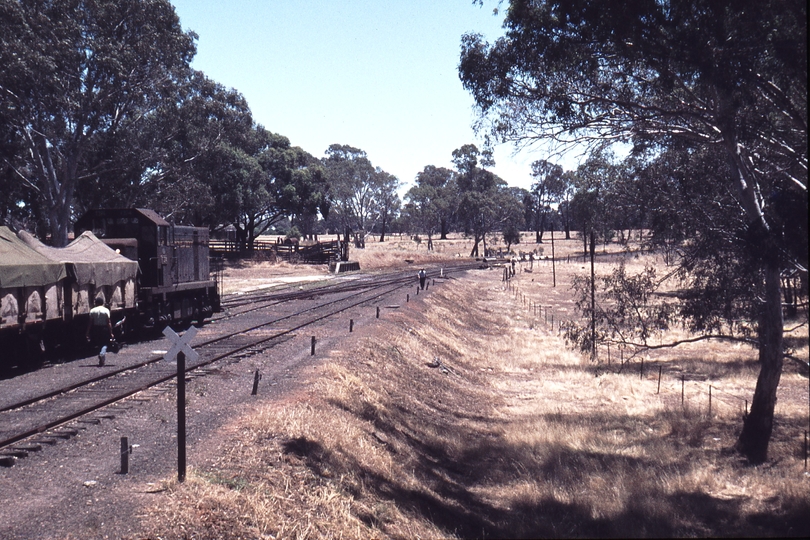 113519: Balmoral Up Goods to Horsham T 374