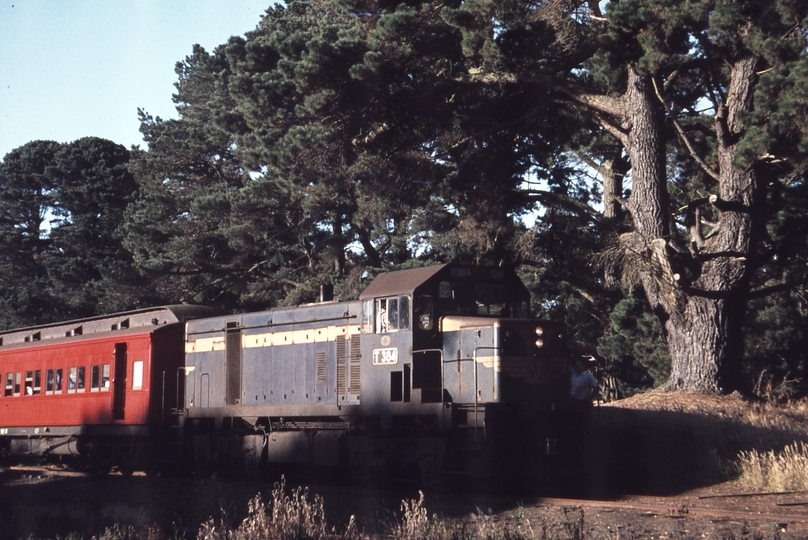 113526: Hawkesdale Up AREA Special to Warrnambool T 384