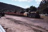 113932: Myrtleford Up Goods with AREA Cars attached T 400