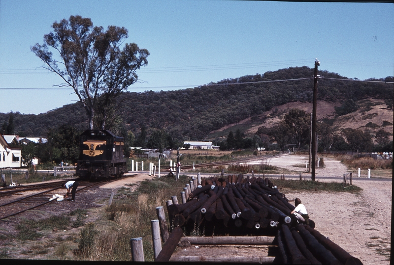 113934: Myrtleford T 400 shunting at Up End