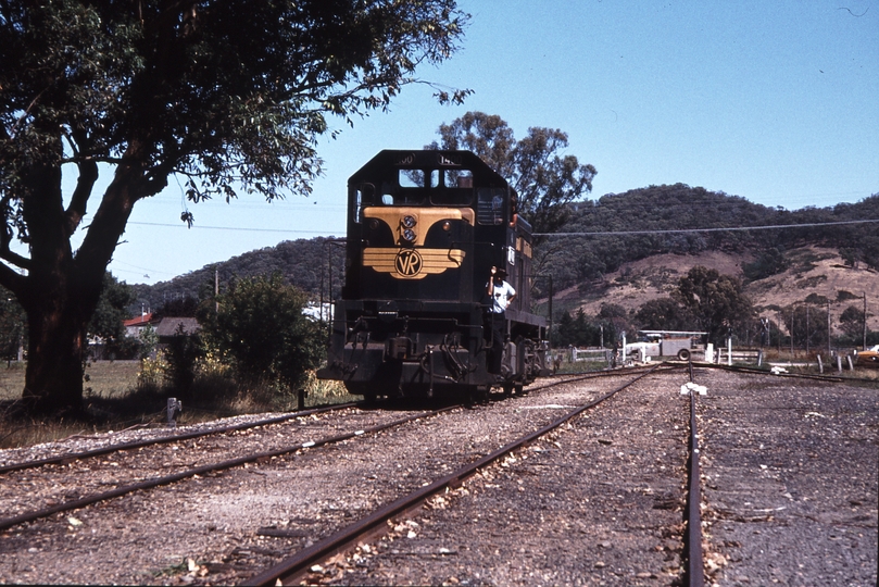 113936: Myrtleford T 400 backing down for Up Goods