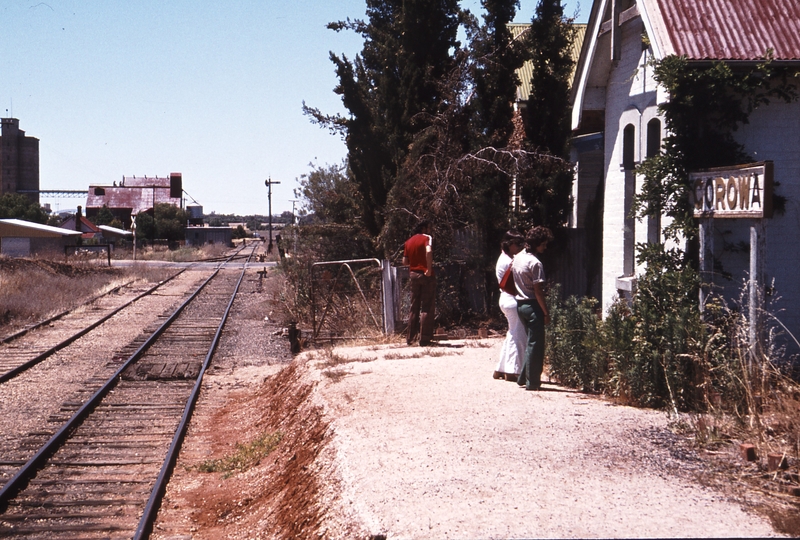 113945: Corowa Looking towards Culcairn