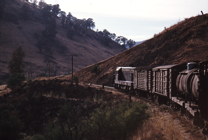 113964: Mile 253 Cudgewa Line Down Goods T 413