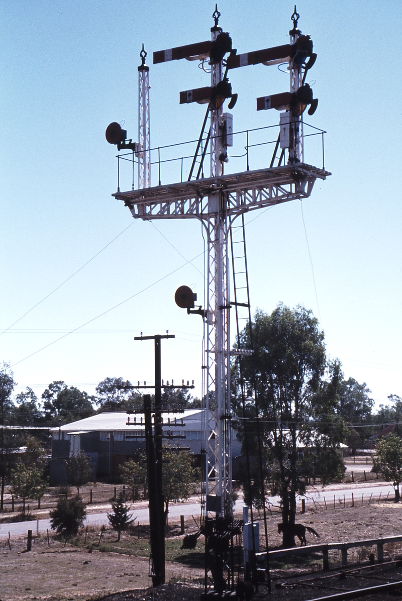 114054: Benalla Down Home Signals