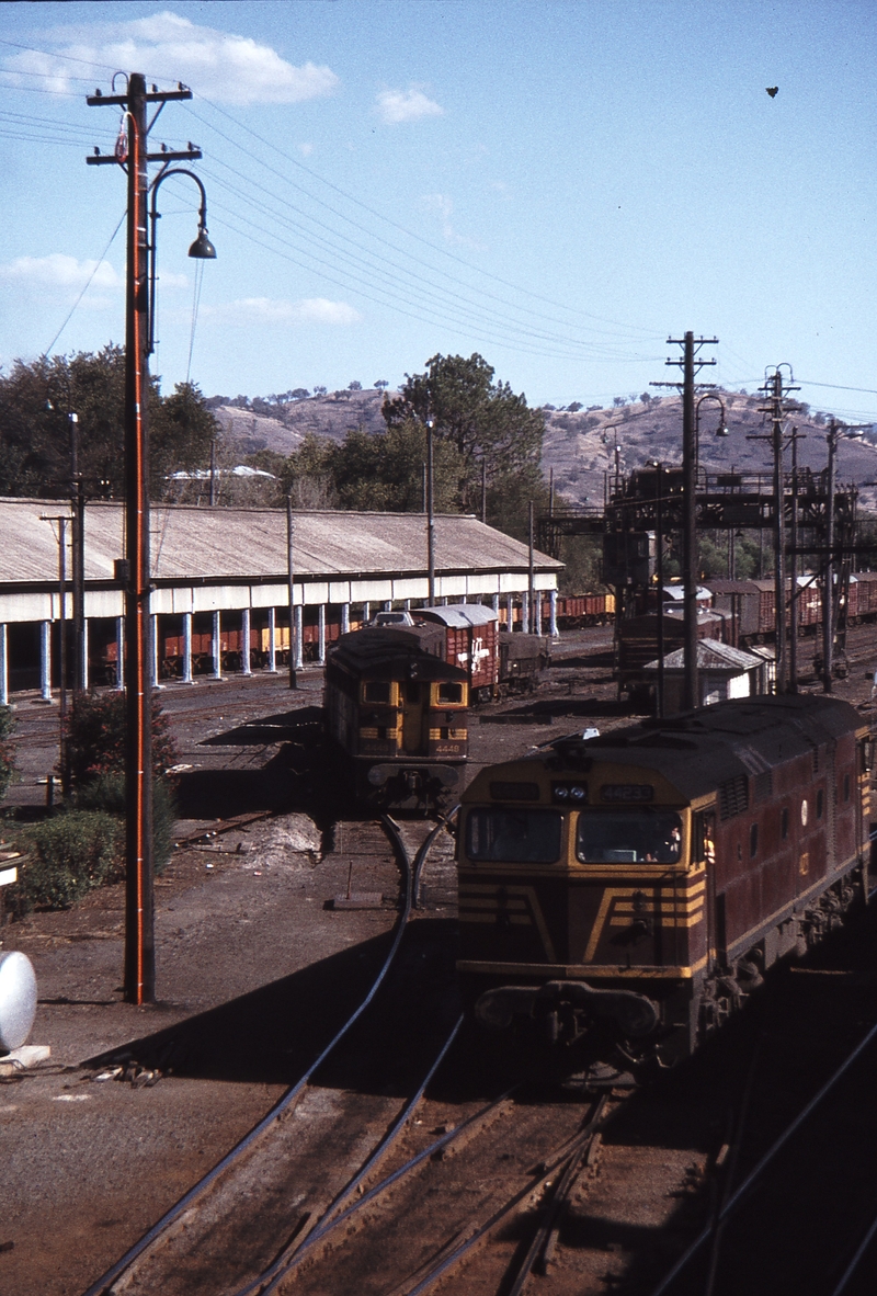 114072: Albury 4448 44233