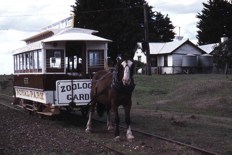 114095: TMSV Bylands Horse Tram No 256