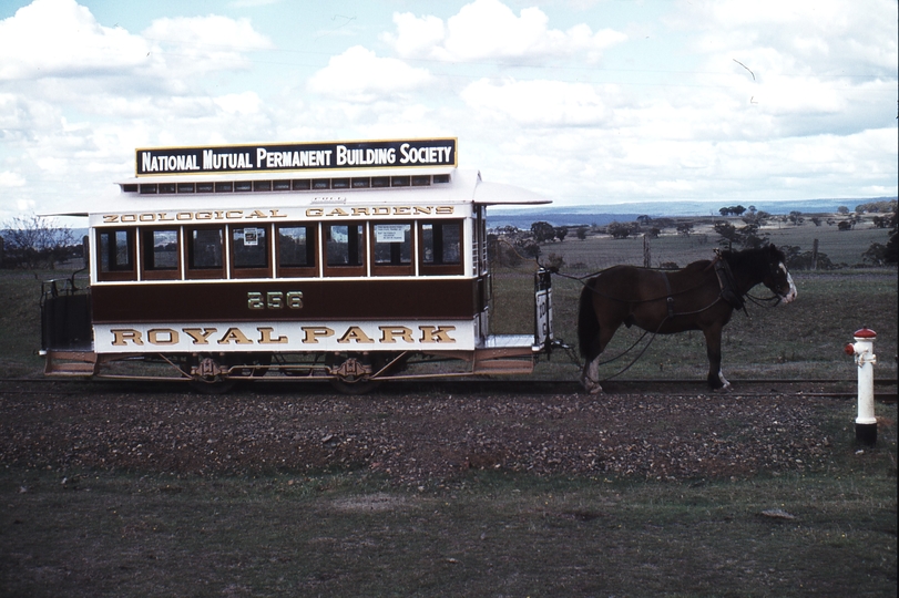 114096: TMSV Bylands Horse Tram No 256