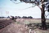 114107: Bungaree Up Goods C 505 C 506