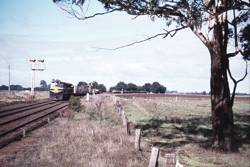 114107: Bungaree Up Goods C 505 C 506