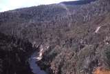 114214: Pieman River Bridge 2 View Upstream Abandoned Railway formation on right