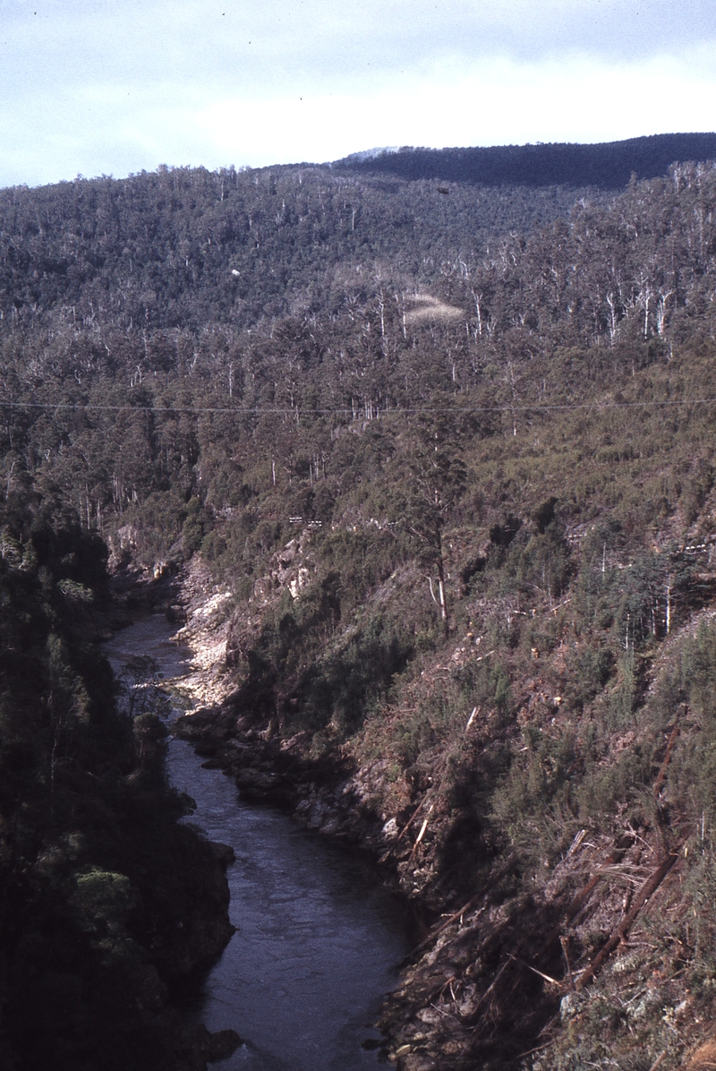 114215: Pieman River Bridge 2 View Upstream Abandoned railway formation on right