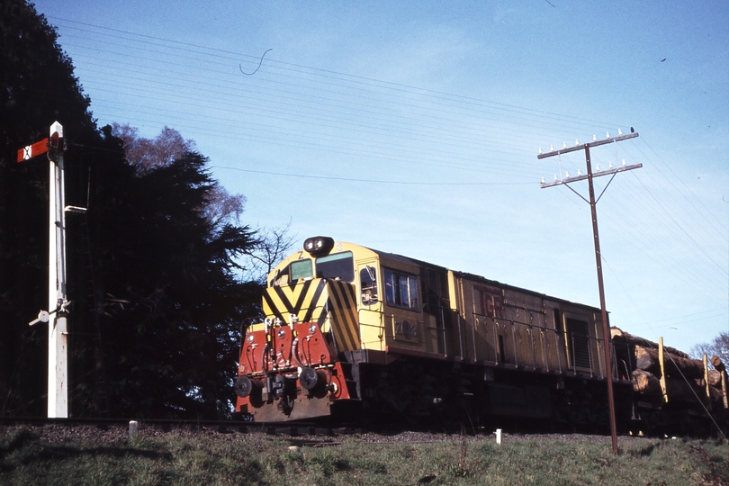 114224: Deloraine Up Log Train Z 3