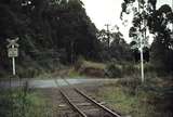 114395: Selby-Aura Road Level Crossing Looking East