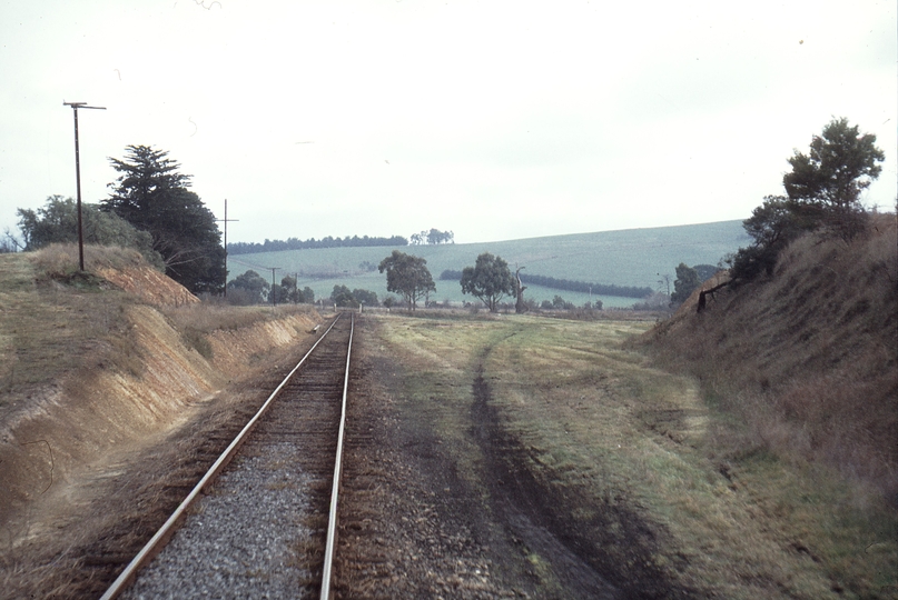 114431: Tarrawarra Looking West