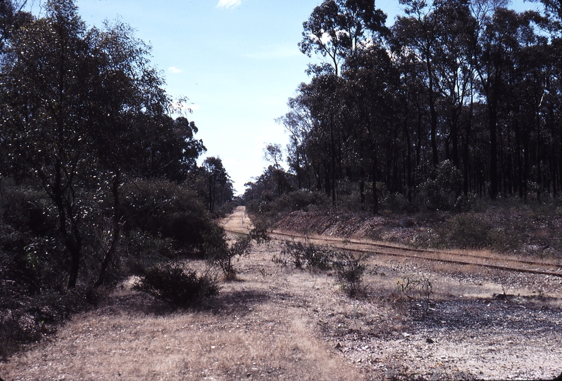 114444: Rangelea Looking towards Bendigo