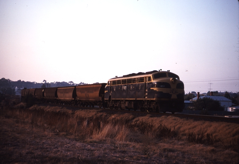 114449: St Arnaud down side Up Grain B 77