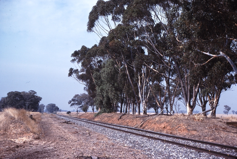 114452: Derby Looking towards Bendigo