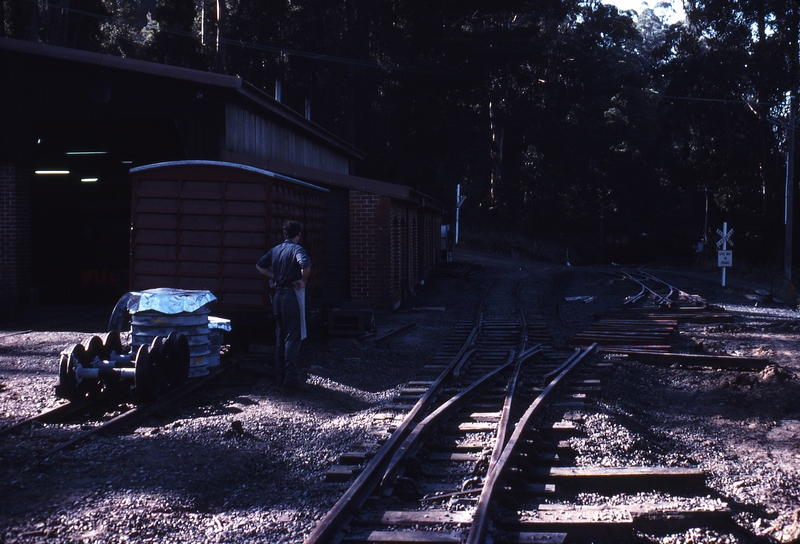 114466: Belgrave New turnouts near Locomotive Workshop