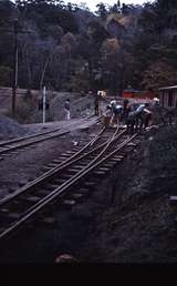 114471: Belgrave Track construction across Old Monbulk Road