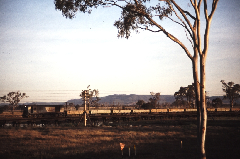 114519: Yeppen up side Down Goods from Mount Morgan 1286