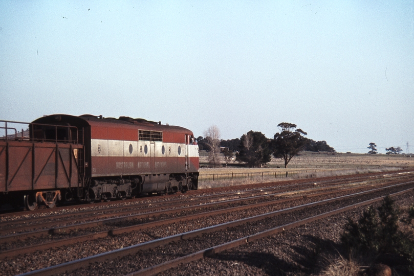 114685: Donnybrook Loop Up Goods GM 33